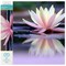 Diamond Dotz Reflections Flower Diamond Painting Kits for Adults - Diamond Art Kits a Relaxing Creative Craft Kit with Dotz Gems 12.2"x16.1"
